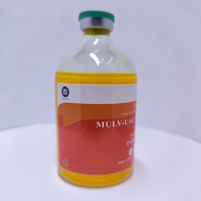 Veterinaire injecteerbare geneesmiddelen Multiple Vitamine Injecties 100 ml beste prijs